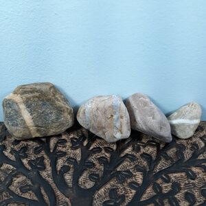4 Banded Stones East Coast Beach Rocks Raw Rough Mineral Specimens Gray White